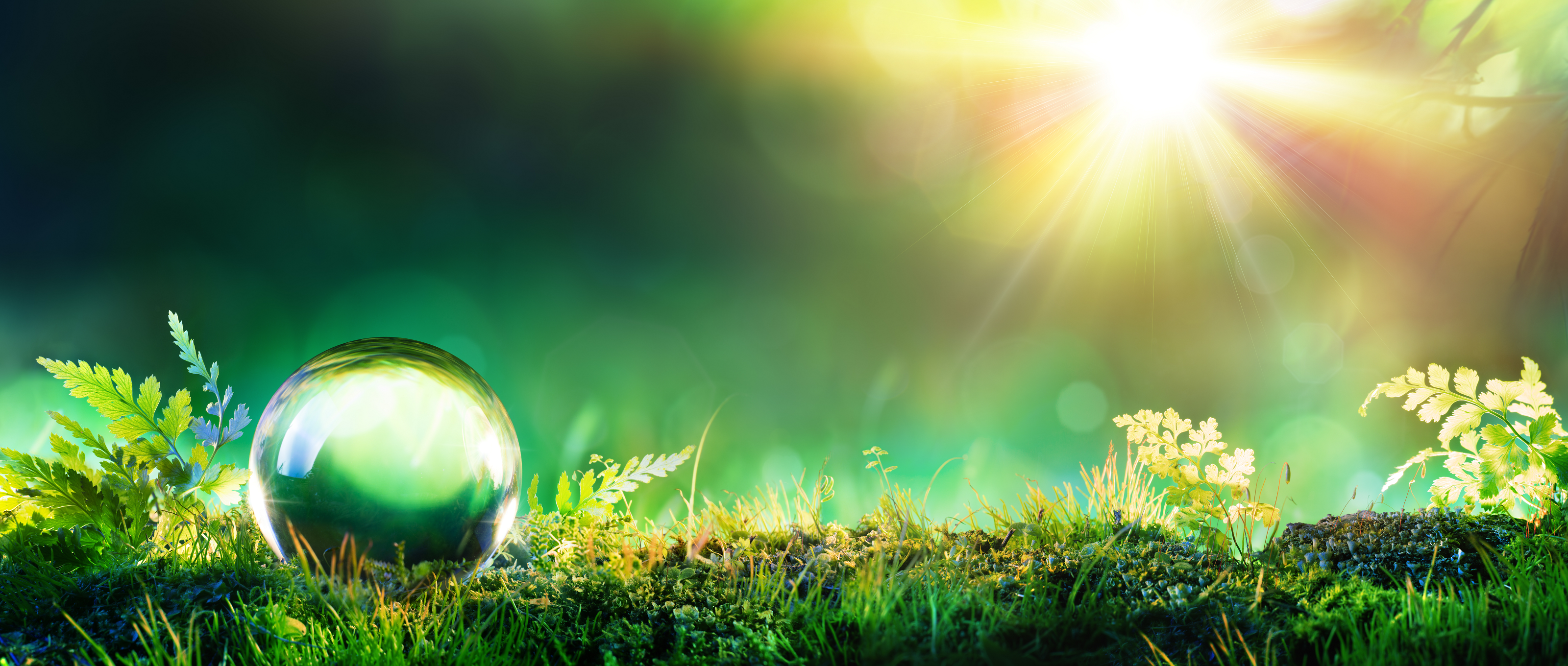 Chemistry And Environment